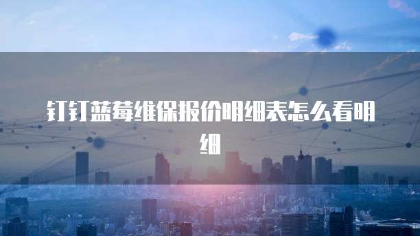钉钉蓝莓维保报价明细表怎么看明细