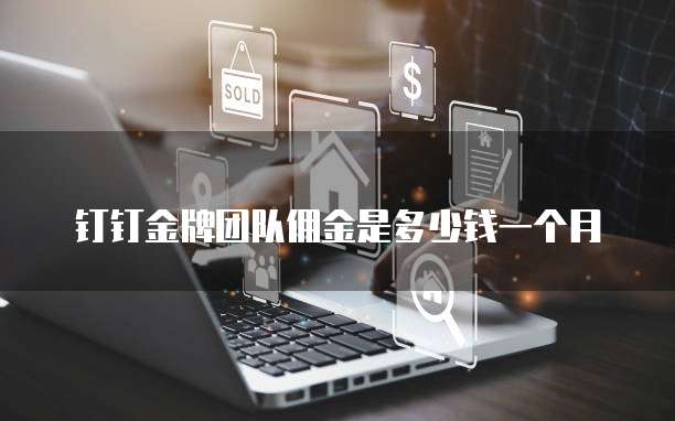 钉钉金牌团队佣金是多少钱一个月