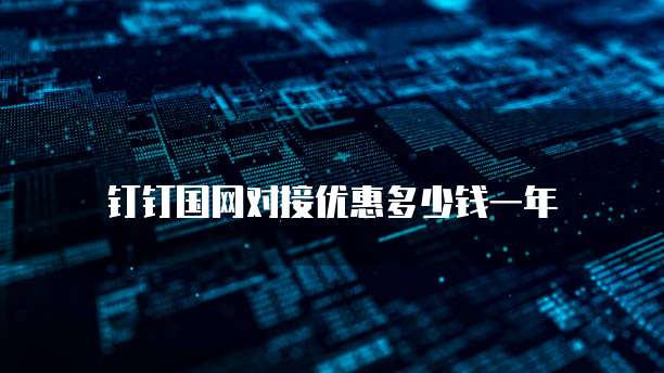 钉钉国网对接优惠多少钱一年