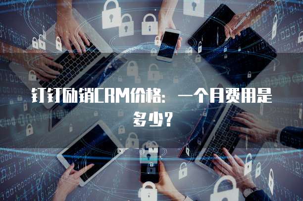 钉钉励销CRM价格:一个月费用是多少?