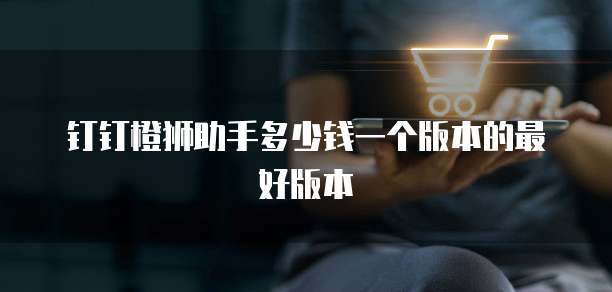 钉钉橙狮助手多少钱一个版本的最好版本