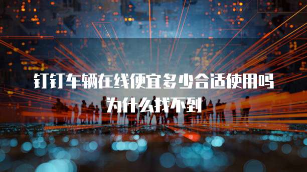 钉钉车辆在线便宜多少合适使用吗为什么找不到