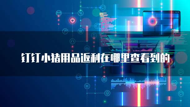钉钉小猪用品返利在哪里查看到的