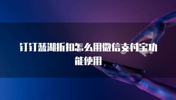 钉钉蓝湖折扣怎么用微信支付宝功能使用