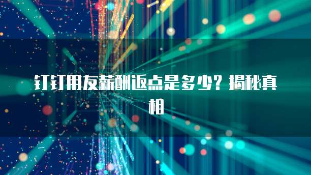 钉钉用友薪酬返点是多少？揭秘真相