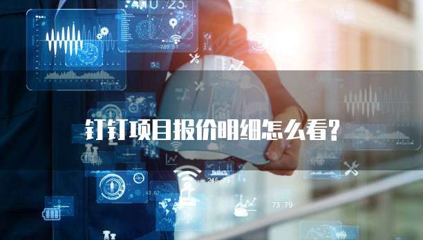 钉钉项目报价明细怎么看?