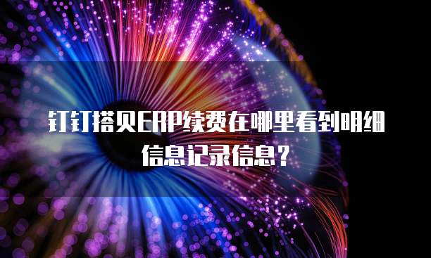 钉钉搭贝ERP续费在哪里看到明细信息记录信息?
