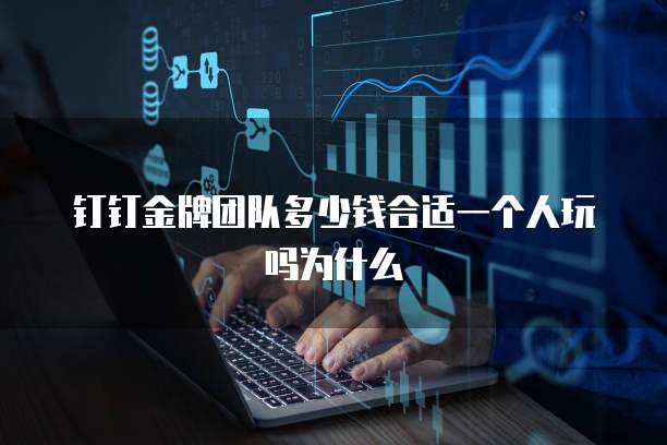 钉钉金牌团队多少钱合适一个人玩吗为什么