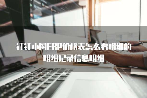 钉钉小圈ERP价格表怎么看明细的明细记录信息明细