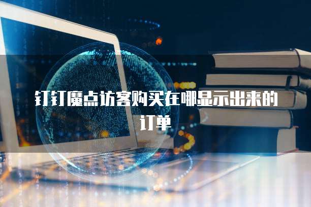 钉钉魔点访客购买在哪显示出来的订单