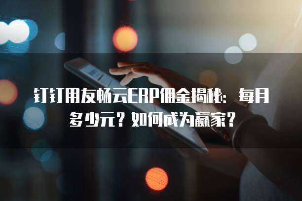 钉钉用友畅云ERP佣金揭秘:每月多少元?如何成为赢家?
