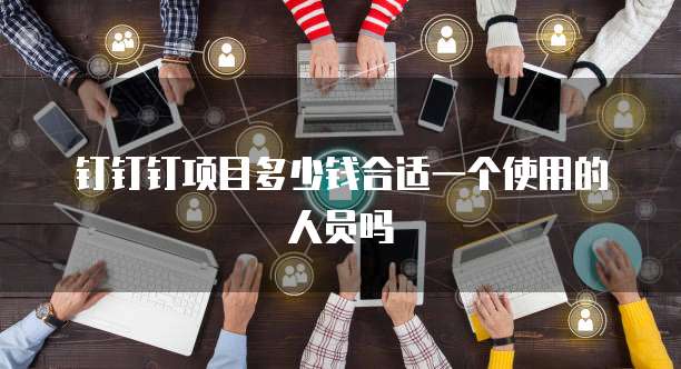 钉钉钉项目多少钱合适一个使用的人员吗