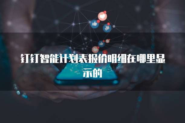 钉钉智能计划表报价明细在哪里显示的