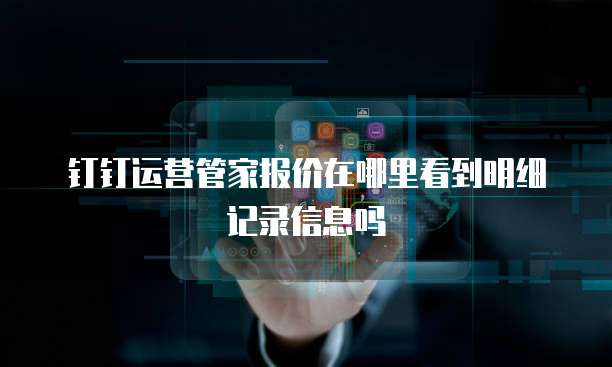 钉钉运营管家报价在哪里看到明细记录信息吗