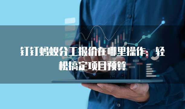 钉钉蚂蚁分工报价在哪里操作:轻松搞定项目预算