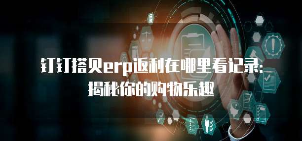 钉钉搭贝erp返利在哪里看记录:揭秘你的购物乐趣