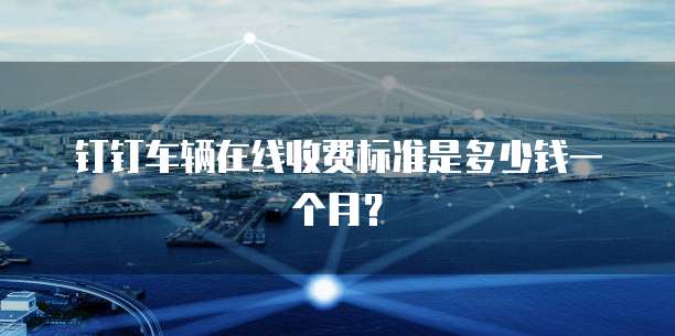 钉钉车辆在线收费标准是多少钱一个月?