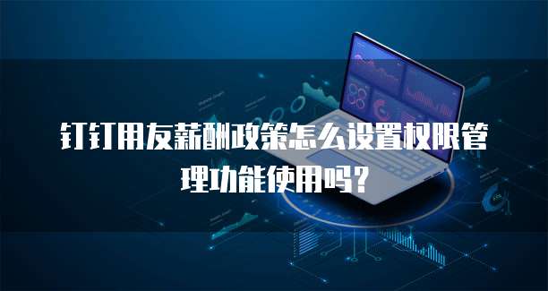 钉钉用友薪酬政策怎么设置权限管理功能使用吗?