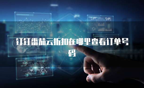 钉钉番茄云折扣在哪里查看订单号码