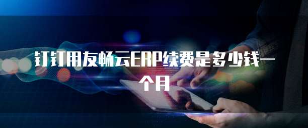 钉钉用友畅云ERP续费是多少钱一个月