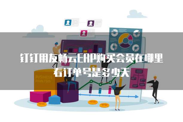 钉钉用友畅云ERP购买会员在哪里看订单号是多少天