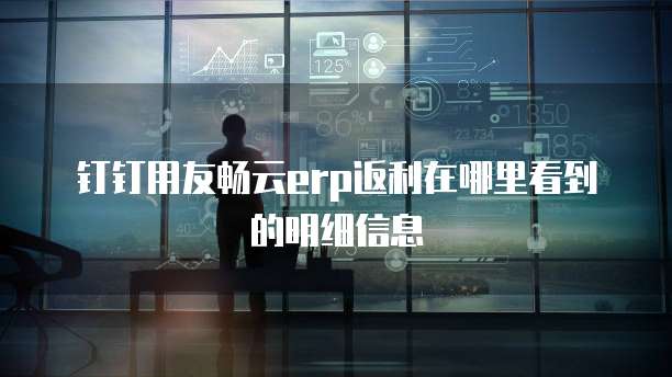 钉钉用友畅云erp返利在哪里看到的明细信息