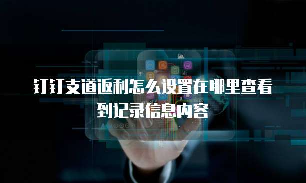 钉钉支道返利怎么设置在哪里查看到记录信息内容