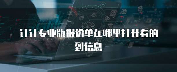 钉钉专业版报价单在哪里打开看的到信息
