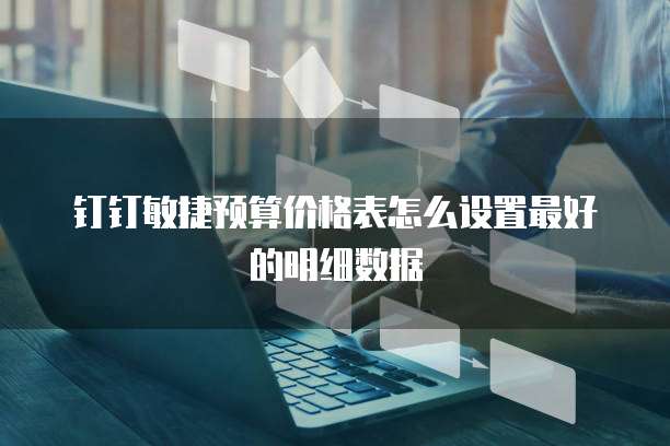 钉钉敏捷预算价格表怎么设置最好的明细数据