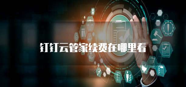 钉钉云管家续费在哪里看
