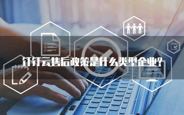 钉钉云售后政策是什么类型企业?