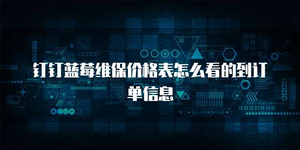 钉钉蓝莓维保价格表怎么看的到订单信息