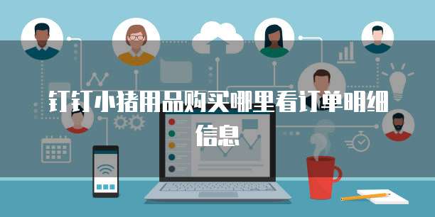 钉钉小猪用品购买哪里看订单明细信息