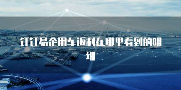 钉钉易企用车返利在哪里看到的明细