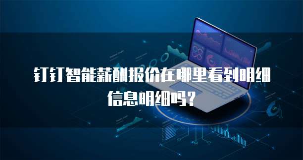 钉钉智能薪酬报价在哪里看到明细信息明细吗？