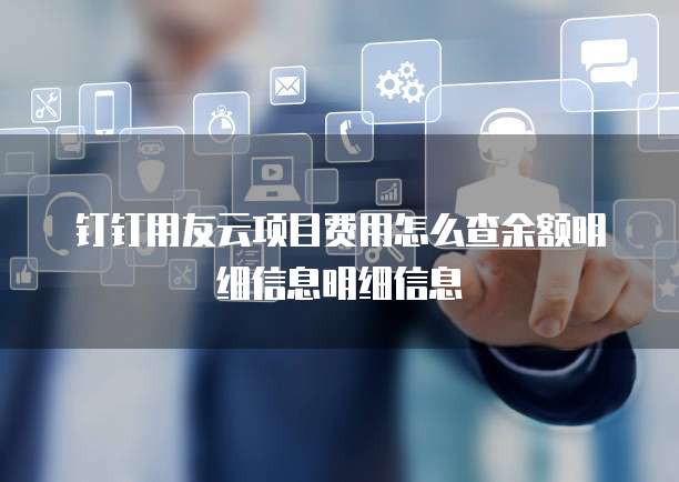 钉钉用友云项目费用怎么查余额明细信息明细信息