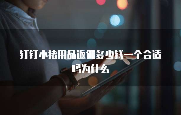钉钉小猪用品返佣多少钱一个合适吗为什么