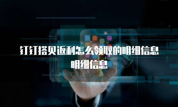 钉钉搭贝返利怎么领取的明细信息明细信息