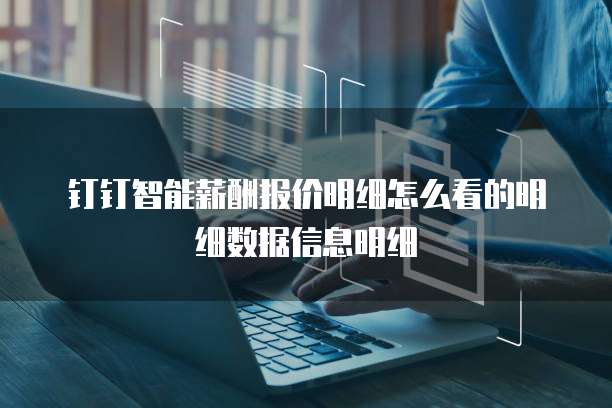 钉钉智能薪酬报价明细怎么看的明细数据信息明细