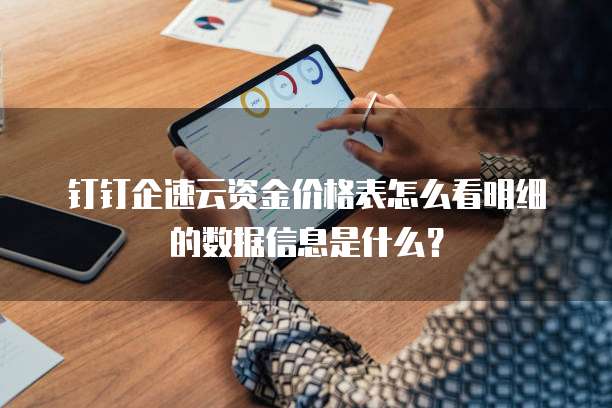 钉钉企速云资金价格表怎么看明细的数据信息是什么?
