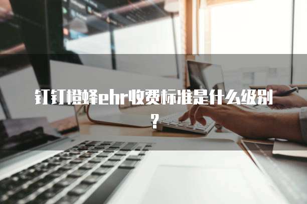 钉钉橙蜂ehr收费标准是什么级别?