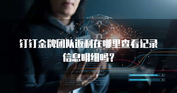 钉钉金牌团队返利在哪里查看记录信息明细吗?