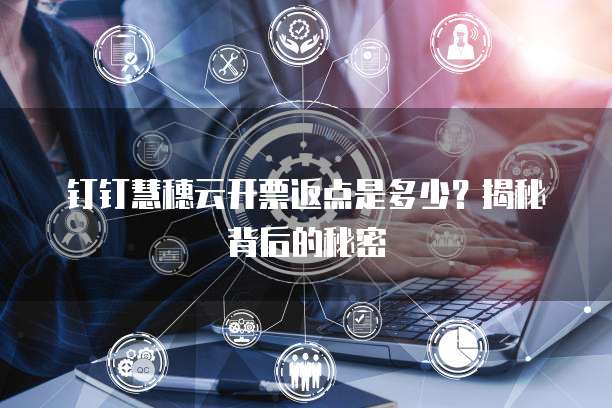 钉钉慧穗云开票返点是多少?揭秘背后的秘密