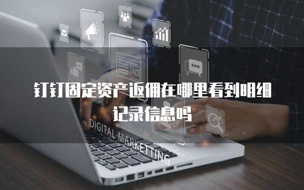 钉钉固定资产返佣在哪里看到明细记录信息吗