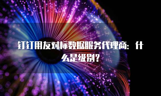 钉钉用友对标数据服务代理商:什么是级别?
