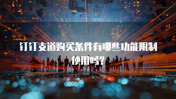 钉钉支道购买条件有哪些功能限制使用吗?