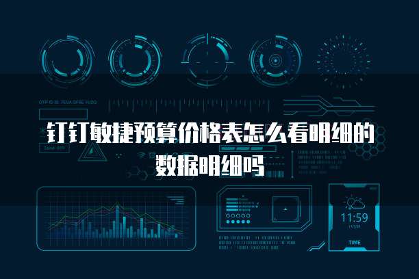 钉钉敏捷预算价格表怎么看明细的数据明细吗