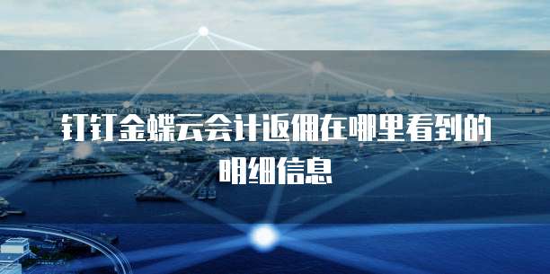 钉钉金蝶云会计返佣在哪里看到的明细信息