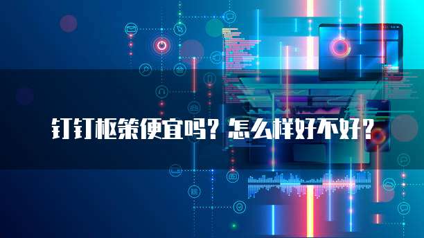 钉钉枢策便宜吗?怎么样好不好?