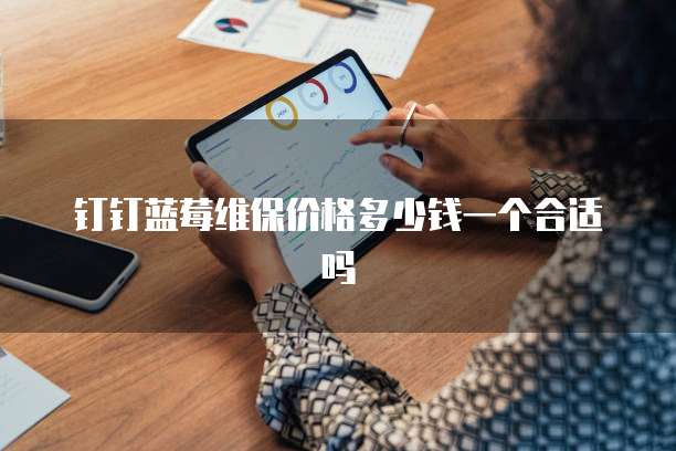 钉钉蓝莓维保价格多少钱一个合适吗
